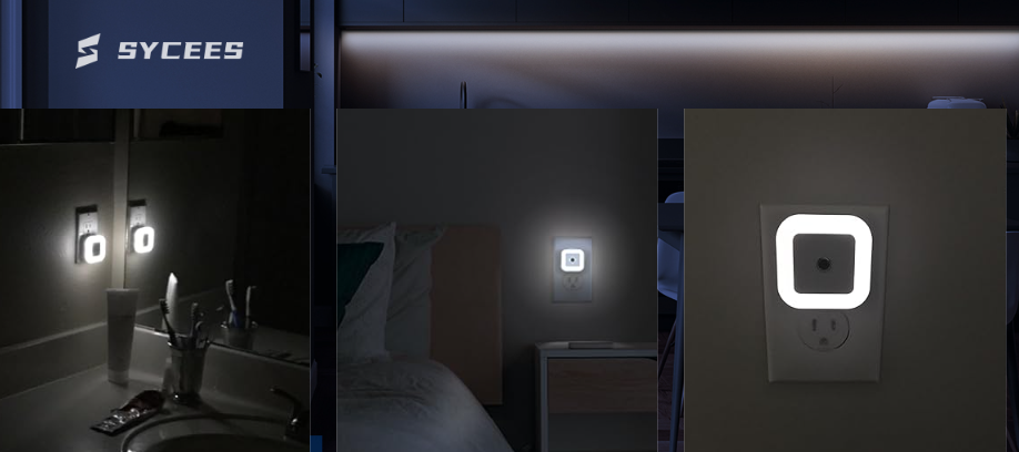 SYCEES Company Values